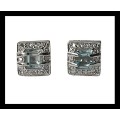 Rhodium silver earrings