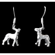 Métal - Boucles d'Oreilles indiennes - Bijoux indiens